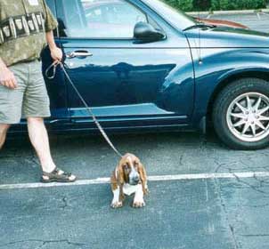 Ceasar (aka Wilburdan's PT Cruiser) with a PT Cruiser!