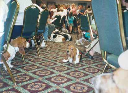auction