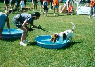Splash