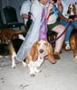 Sadie